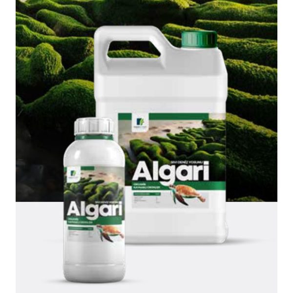 Algari