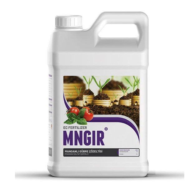 MNGİR