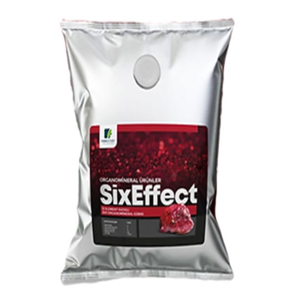 SixEffect